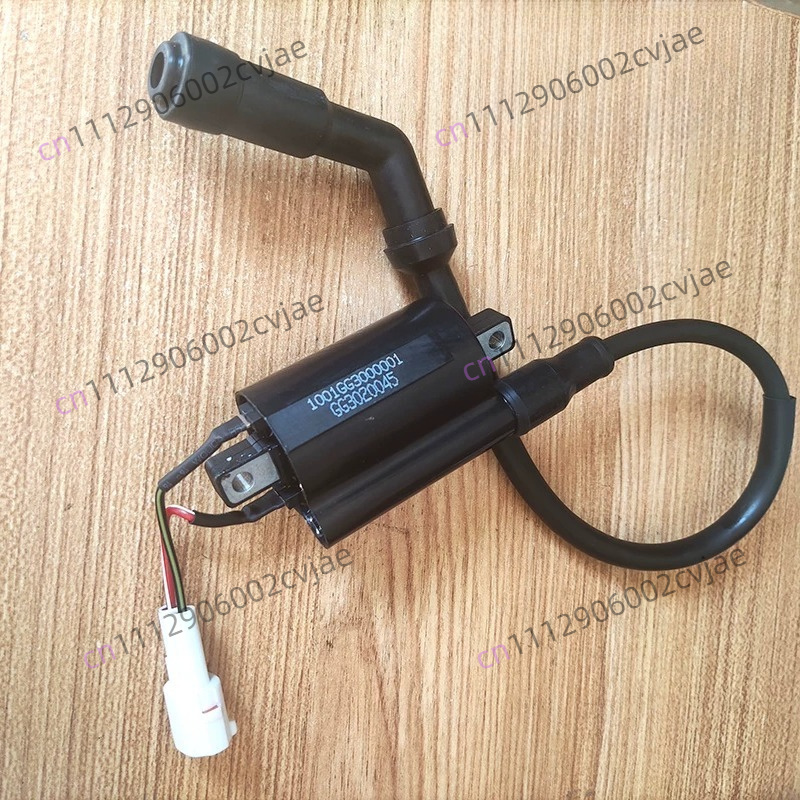 ZT310-V X T R1 2 Motorcycle Hi - Motorcycle Spark Plug review and price